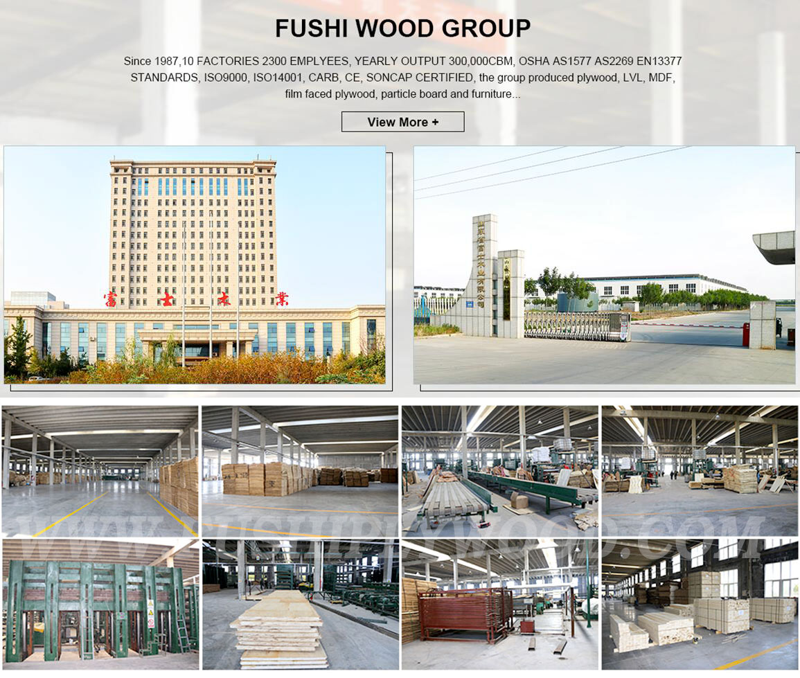 Fushi-wood-group-new-factory