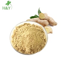 Factory supply TOP quality Natural water soluble Ginger Root extract