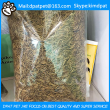 Dried Mealworm Tenebrio Molitor Chicken Feed Wild Bird Food