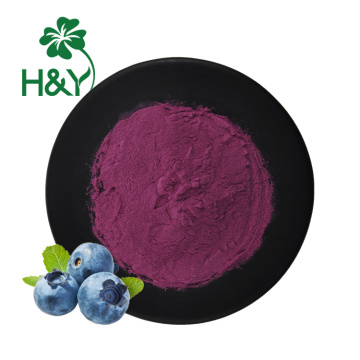 Wholesale blueberry extract blueberry fruit powder