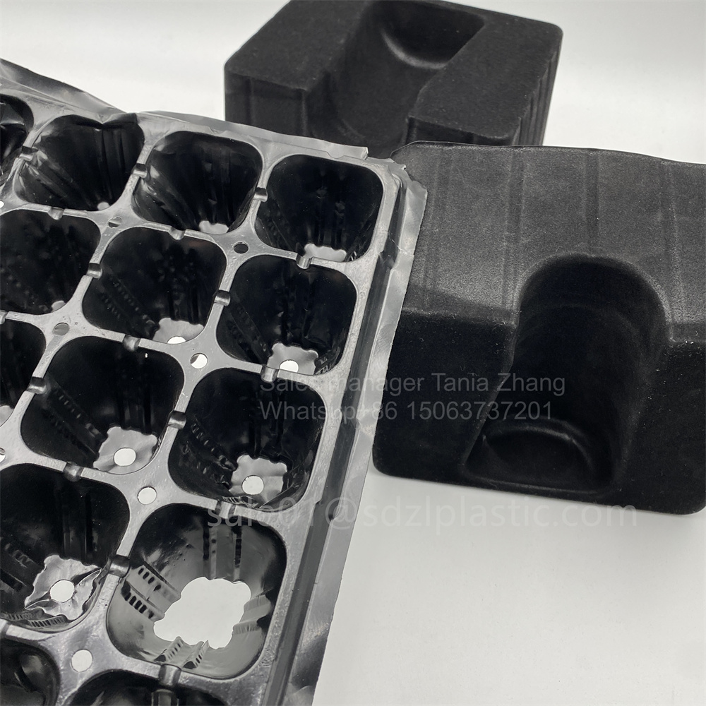 Black Seedling Ps Tray Wine Tray 3 Jpg Black Seedling Ps Tray Wine Tray 3 Jpg