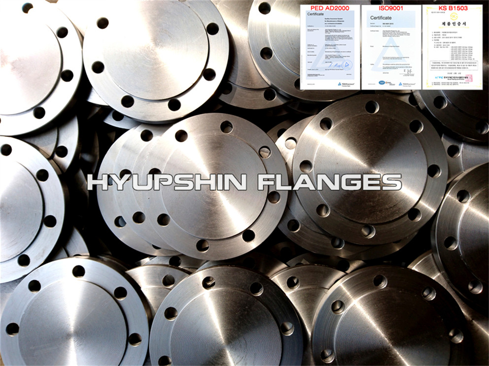 Hyupshin Flanges Blind Blank Rasied Face Rf