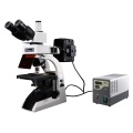 Bestscope BS-2072FT Fluoreszierendes biologisches Mikroskop