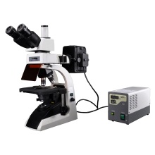 Broscope BS-2072FT Fluorescent Biological Microscope