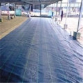 Polipropileno Tecido Anti Weed Mat Tecido de Geotextile de controle de ervas daninhas para Grass in Roll