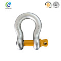 Us Type Screw Pin Bow Shackle