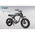 Electric cycle e bike Urban