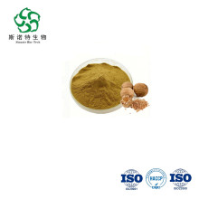Dried Nutmeg Meat Seasonings Spices extract
