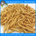 Mikrowelle Getrocknete Mealworm Gelbe Würmer Vogelfutter