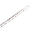 Medical Mercury Decorative Glass Thermometer