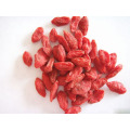 Medlar High Quality Organic Goji Bessen