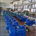 Single Phase 5 HP Electric Motor for Sale