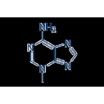 3-Méthyladénine (3-MA) ​​5142-23-4