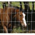 Cerca de cavalo de Cattel de malha de arame de metal galvanizado para venda