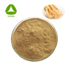 Herbal Panax Ginseng Extrakt Ginsenosid 5% -80% 51542-56-4