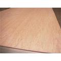 Bintangor Commercial Poplar Plywood