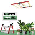 Verbessertes 3x3ft faltbar dimmbare LED -Innenleuchte