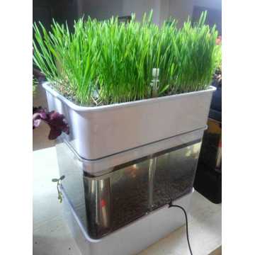 New Type Complete Hydroponic Aquaponics Growing Systems