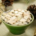 HALAL Dried Snow White 11cm Certified Pumpkin Seeds