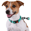 Reflektierender Hundehalsband mit Schnalle