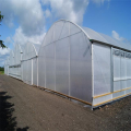 Multi Span Film Covering Greenhouse for Vegetables