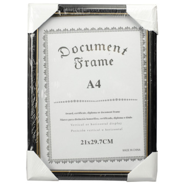 The Hot Selling A4 Award Frame