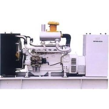 Diesel Generator (BN120GFDC)