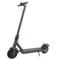 Kick 350W Motor 10 ah Battery Electric Scooter