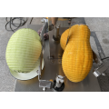 Gemüseschaltmaschine Ananas Kürbisschälermaschine