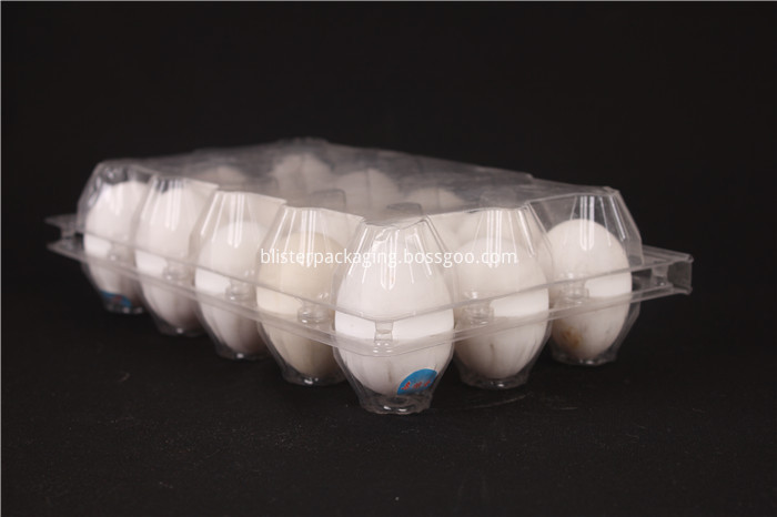 Plastic Egg Container