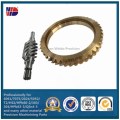 Worm Gear fabrica la fabricación de engranajes Worm Shaft y Worm Gear