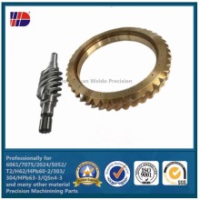 Worm Gear fabrica la fabricación de engranajes Worm Shaft y Worm Gear