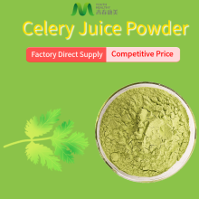 Buy Dried Celery Juice Powder Competitive Price