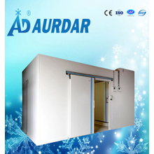 High Quality Cold Room Door with The Factory Price