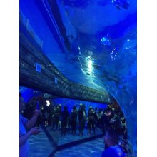 Benutzerdefinierte Unterwasserplexiglas reines Acryl im Aquarium