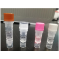 Neuartiges Coronavirus (2019-nCoV) Nucleic Acid Diagnostic Kit