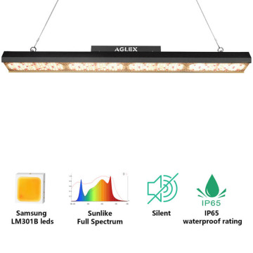 Das gesamte Spektrum der linearen LED-Wachstumslichtbalken