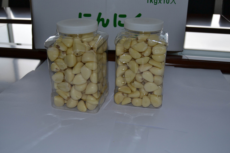 Shandong Fresh Fine Garlic