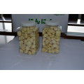 PET Garlic for European and American Countries