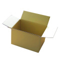 Environmental protection Taiwan yellow carton