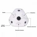 Fisheye Lens Night Vision WiFi Camera