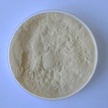 Food grade neutral protease powder for protein degradation