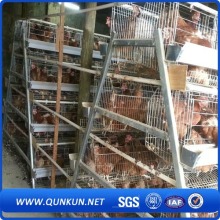 Chicken Cage von Anping Factory