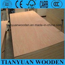 Bintangor Faced Furniture Plywood 8mm