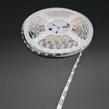 White color 5050SMD 300led strip lights