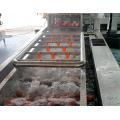 Conveyor Belt Fruit and Vegetable Cleaner Machine