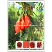 cosecha Himalayan Certified Organic Goji berry, Tibet goji berry