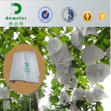 Cheap Disposable Water Insect Against Fruit Grape Grow Bags to Prevent The Sunshine Burning