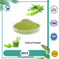 Organic Vegetable Powder Celery Juice Powder/Celery Powder