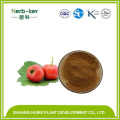 Hawthorne Leaf Extracto Hawthorn Total Flavones Flavonoides